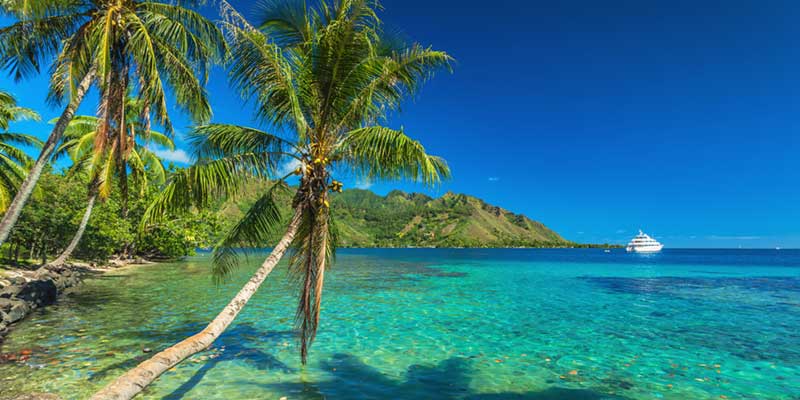 plage et cocotiers en polynésie