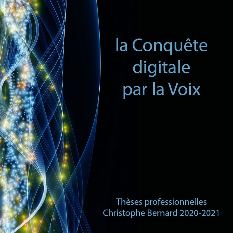1er-de-couverture-theses-professionnelles-christophe-bernard-800x800